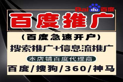 SEO与SEM优化案例：打造行业领先品牌